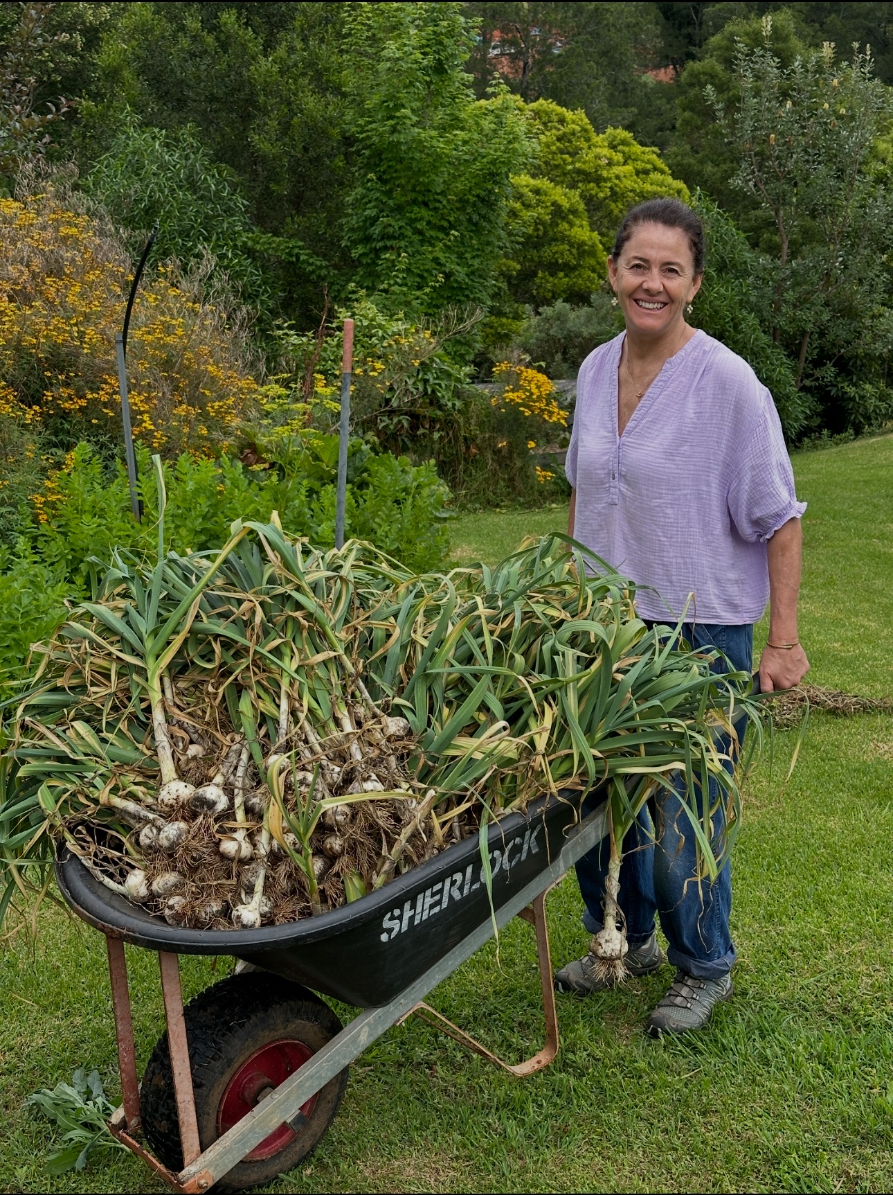 Lizzy Taylor with a wheelbarrow of freshly harvested garlic in the garden